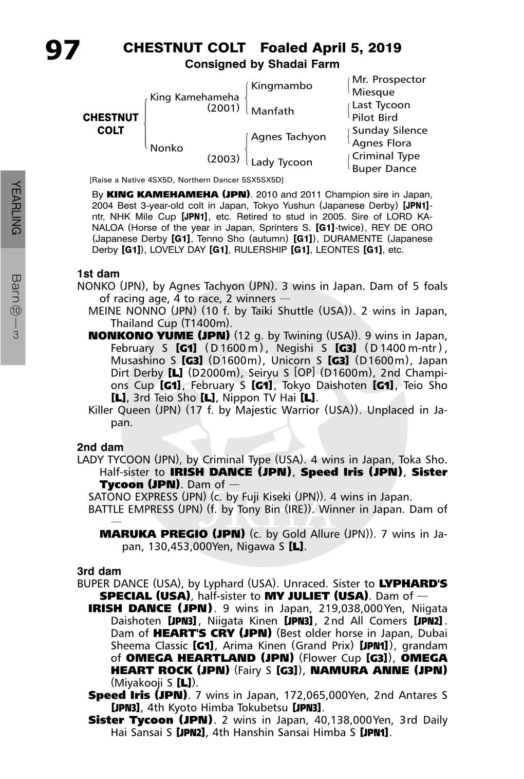 CHESTNUT COLT Foaled April 5, 2019 97 Consigned by Shadai Farm #Mr