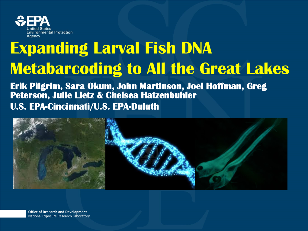 Expanding Larval Fish DNA Metabarcoding to All the Great Lakes