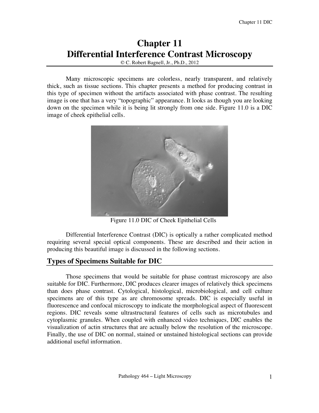 Chapter 11 Differential Interference Contrast Microscopy © C