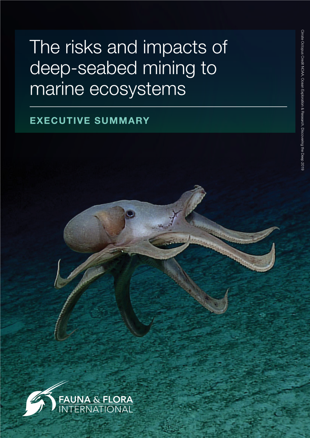 The Risks and Impacts of Deep-Seabed Mining to Marine Ecosystems