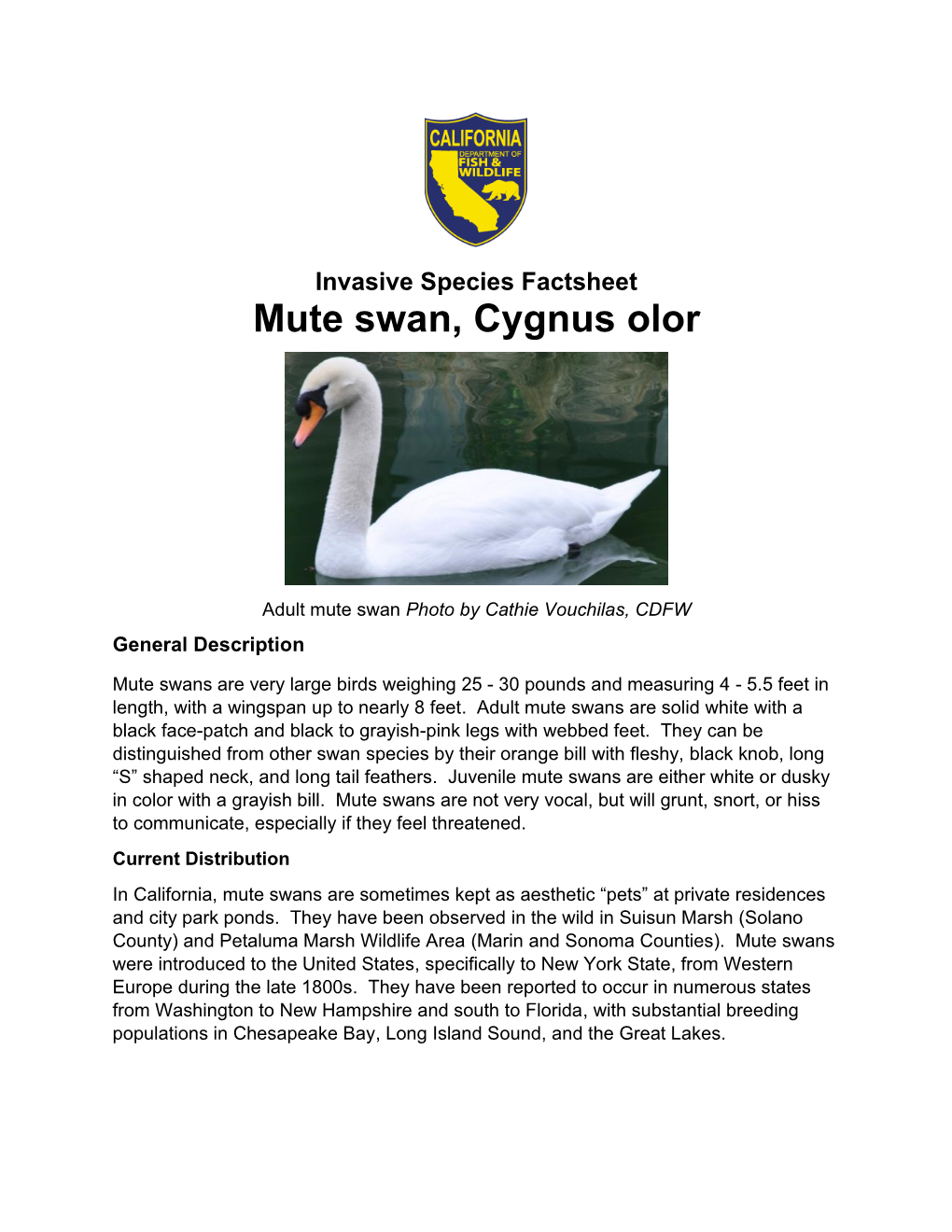 Invasive Species Factsheet: Mute Swan, Cygnus Olor