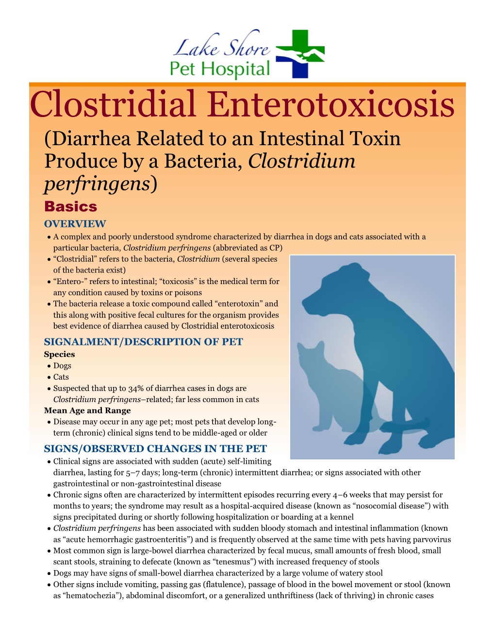 Clostridial Enterotoxicosis