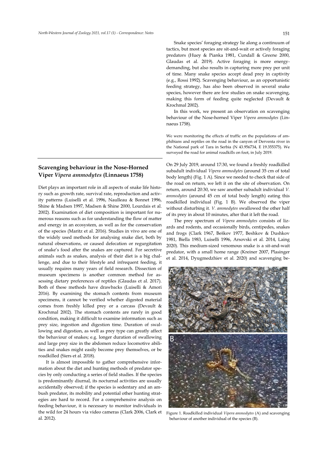 Scavenging Behaviour in the Nose-Horned Viper Vipera Ammodytes