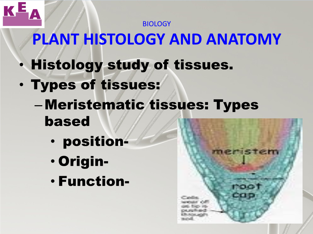 PLANT HISTOLOGY and ANATOMY • Histology Study of Tissues