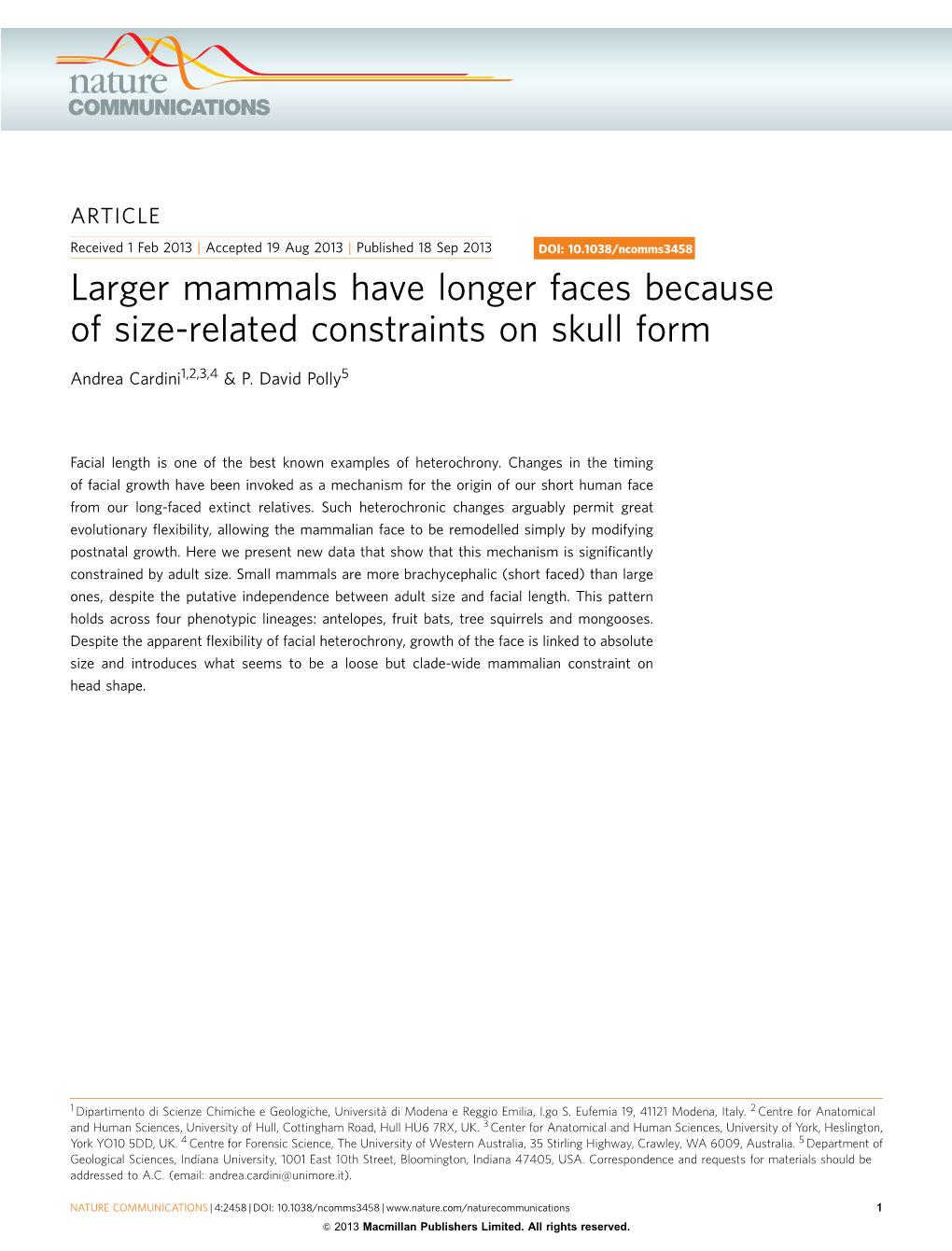 Larger Mammals Have Longer Faces Because of Size-Related Constraints on Skull Form