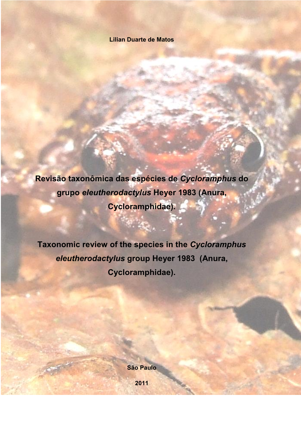 Revisão Taxonômica Das Espécies De Cycloramphus Do Grupo Eleutherodactylus Heyer 1983 (Anura, Cycloramphidae)