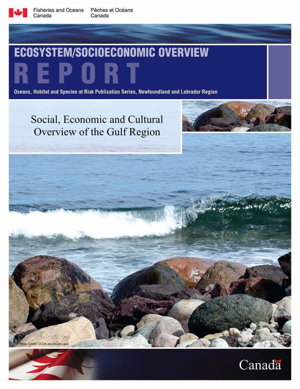 Social, Economic and Cultural Overview of the Gulf Region
