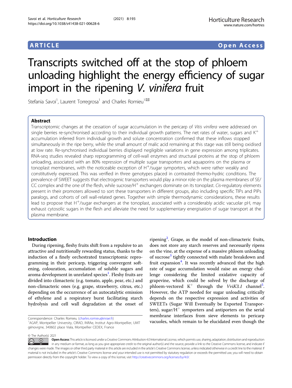 Transcripts Switched Off at the Stop of Phloem Unloading Highlight the Energy Efﬁciency of Sugar Import in the Ripening V