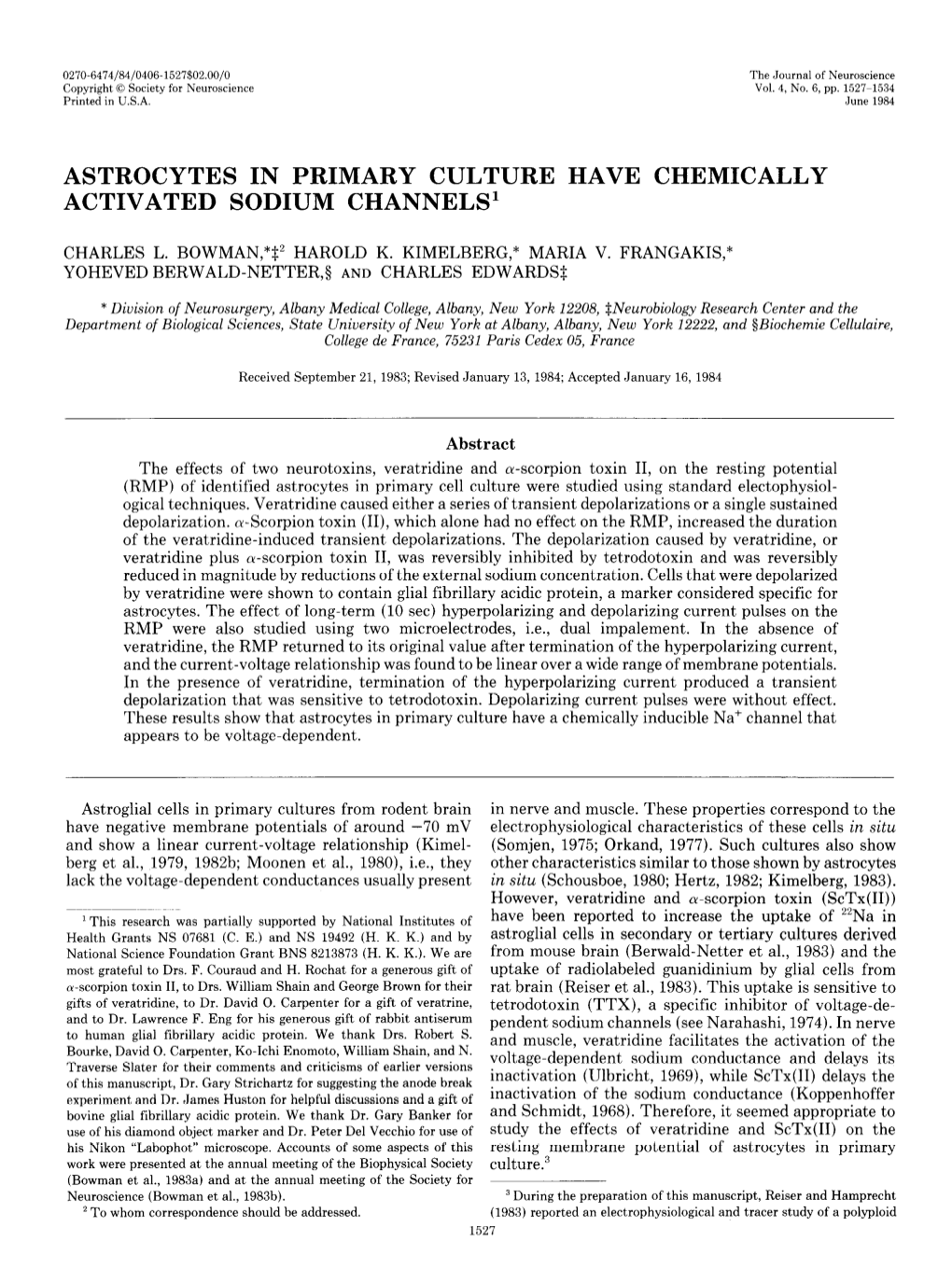 Astrocytes in Primary Culture Have Chemically Activated Sodium Channels’