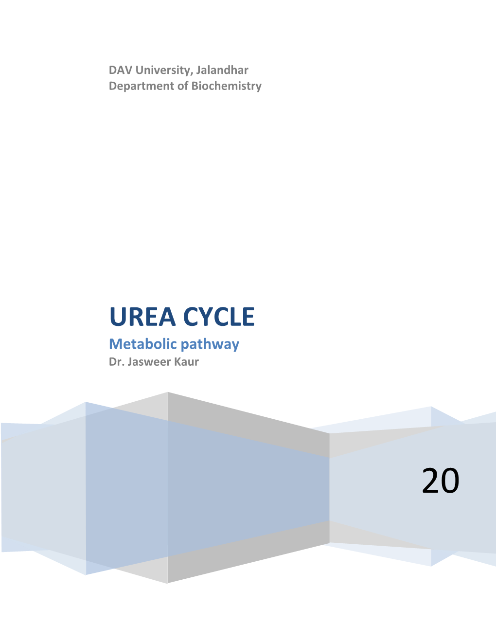 UREA CYCLE Metabolic Pathway Dr