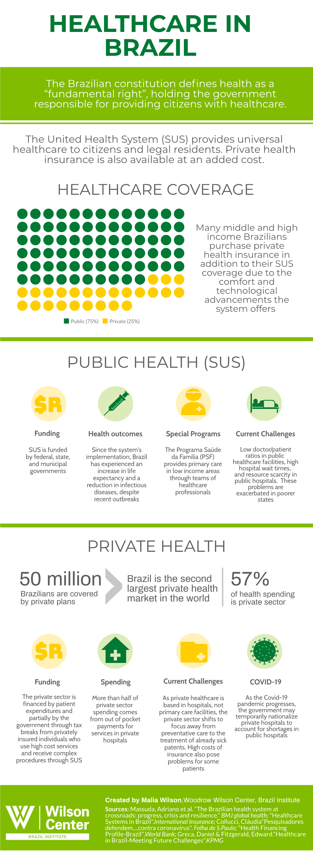 The Brazilian Constitution Defines Health As a “Fundamental Right”, Holding the Government Responsible for Providing Citizens with Healthcare