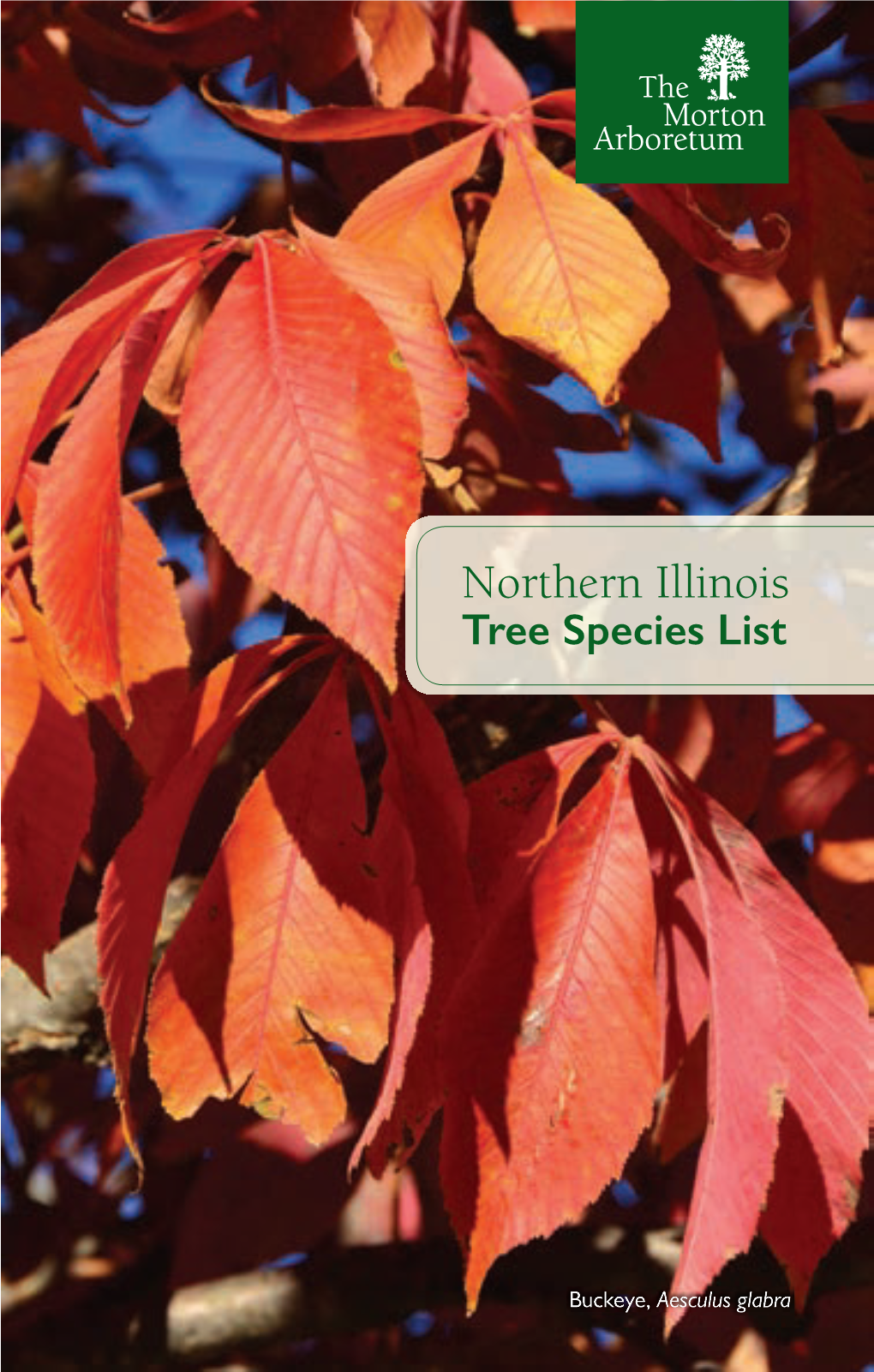 Northern Illinois Tree Species List