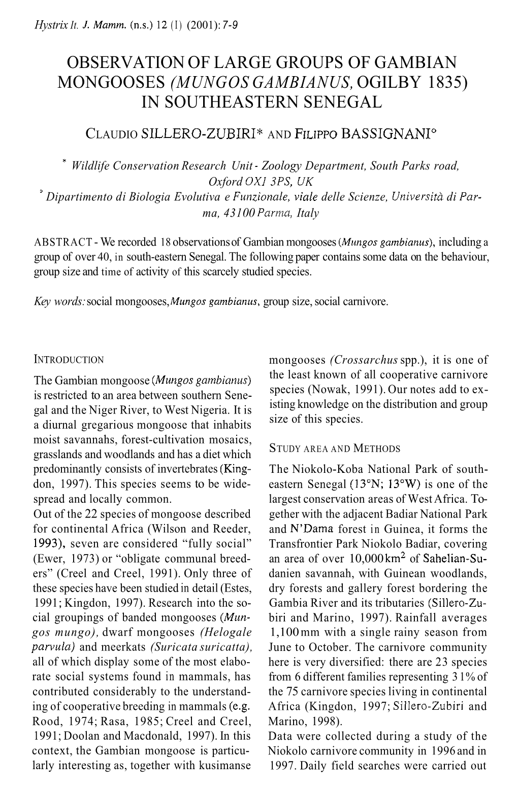 Observation of Large Groups of Gambian Mongooses (Mungos Gambianus, Ogilby 1835) in Southeastern Senegal