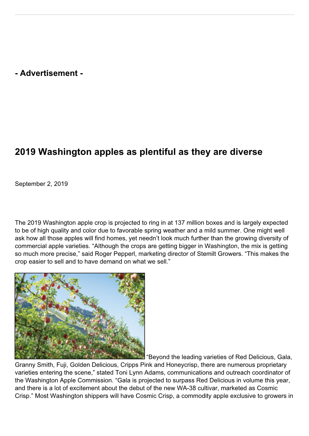 2019 Washington Apples As Plentiful As They Are Diverse