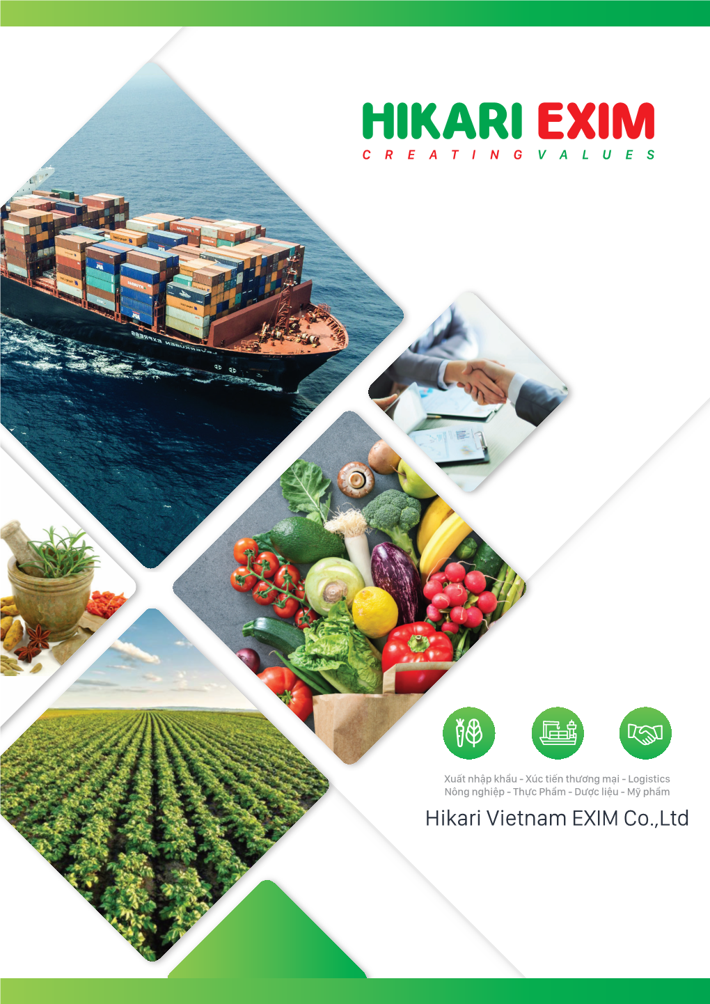 Hikari Vietnam EXIM Co.,Ltd GIỚI THIỆU VỀ CÔNG TY Company Introduction