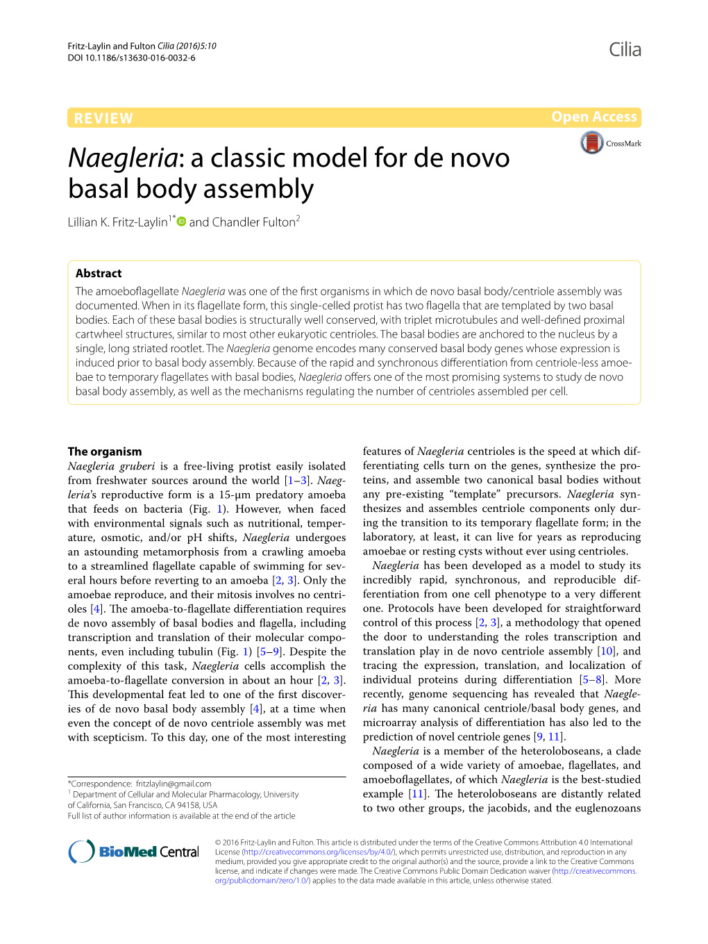 Naegleria: a Classic Model for De Novo Basal Body Assembly Lillian K