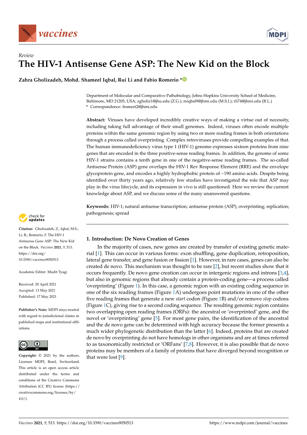 The HIV-1 Antisense Gene ASP: the New Kid on the Block