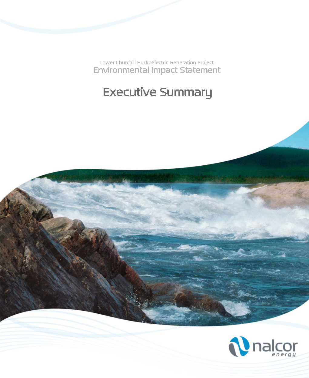 Environmental Impact Statement Executive Summary