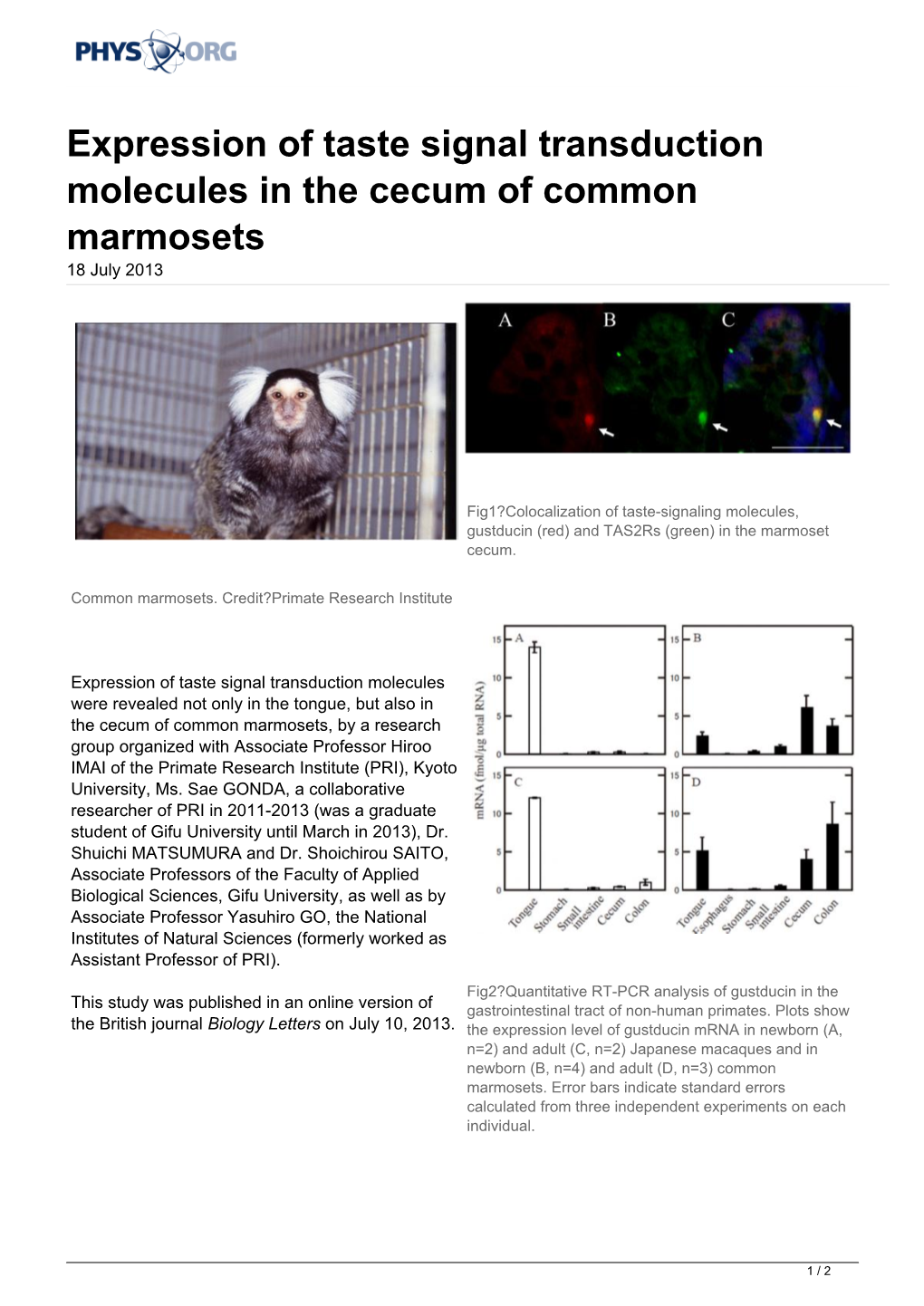 Expression of Taste Signal Transduction Molecules in the Cecum of Common Marmosets 18 July 2013