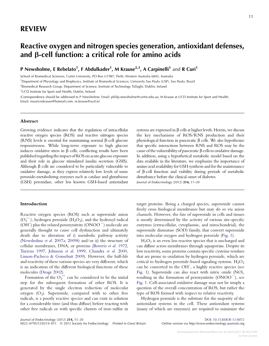 REVIEW Reactive Oxygen and Nitrogen Species Generation, Antioxidant Defenses, and B-Cell Function