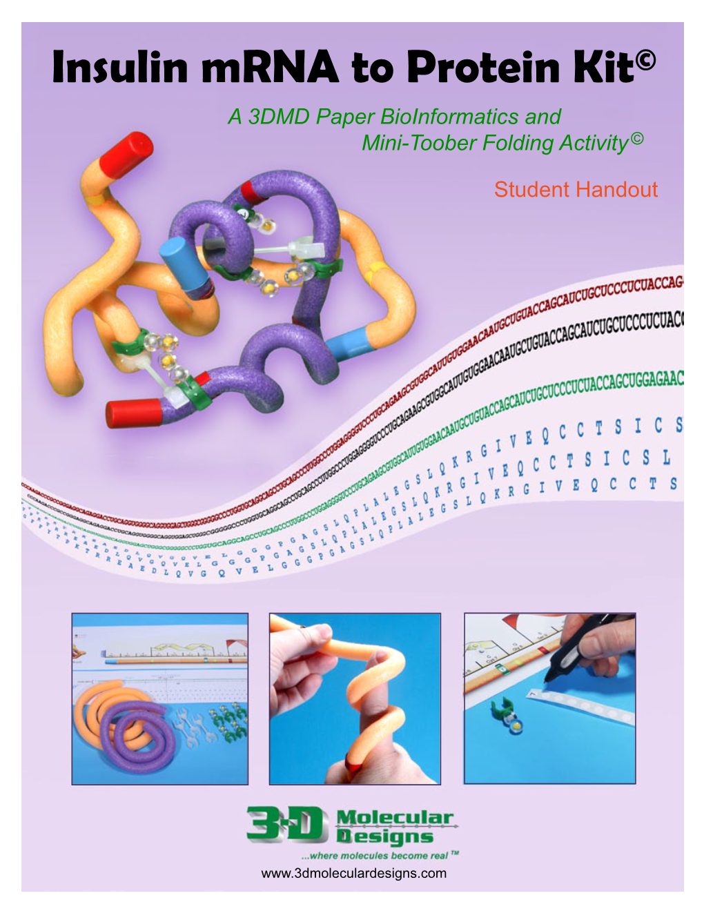 Insulin Mrna to Protein Kit© a 3DMD Paper Bioinformatics and Mini-Toober Folding Activity©