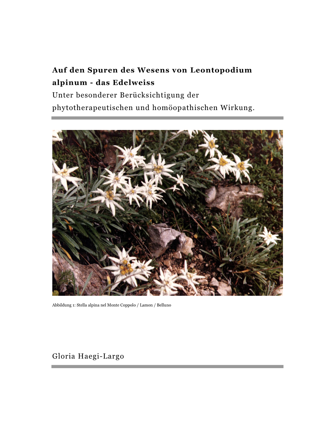 Auf Den Spuren Des Wesens Von Leontopodium Alpinum - Das Edelweiss Unter Besonderer Berücksichtigung Der Phytotherapeutischen Und Homöopathischen Wirkung