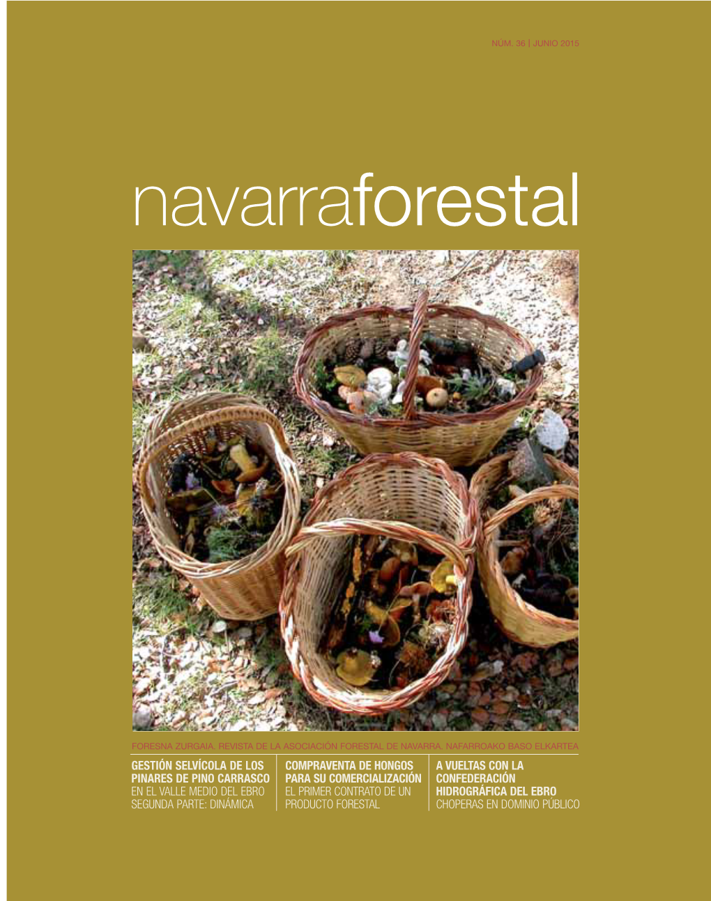 Navarraforestal