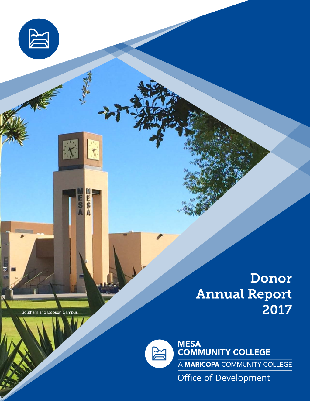 Donor Annual Report 2017