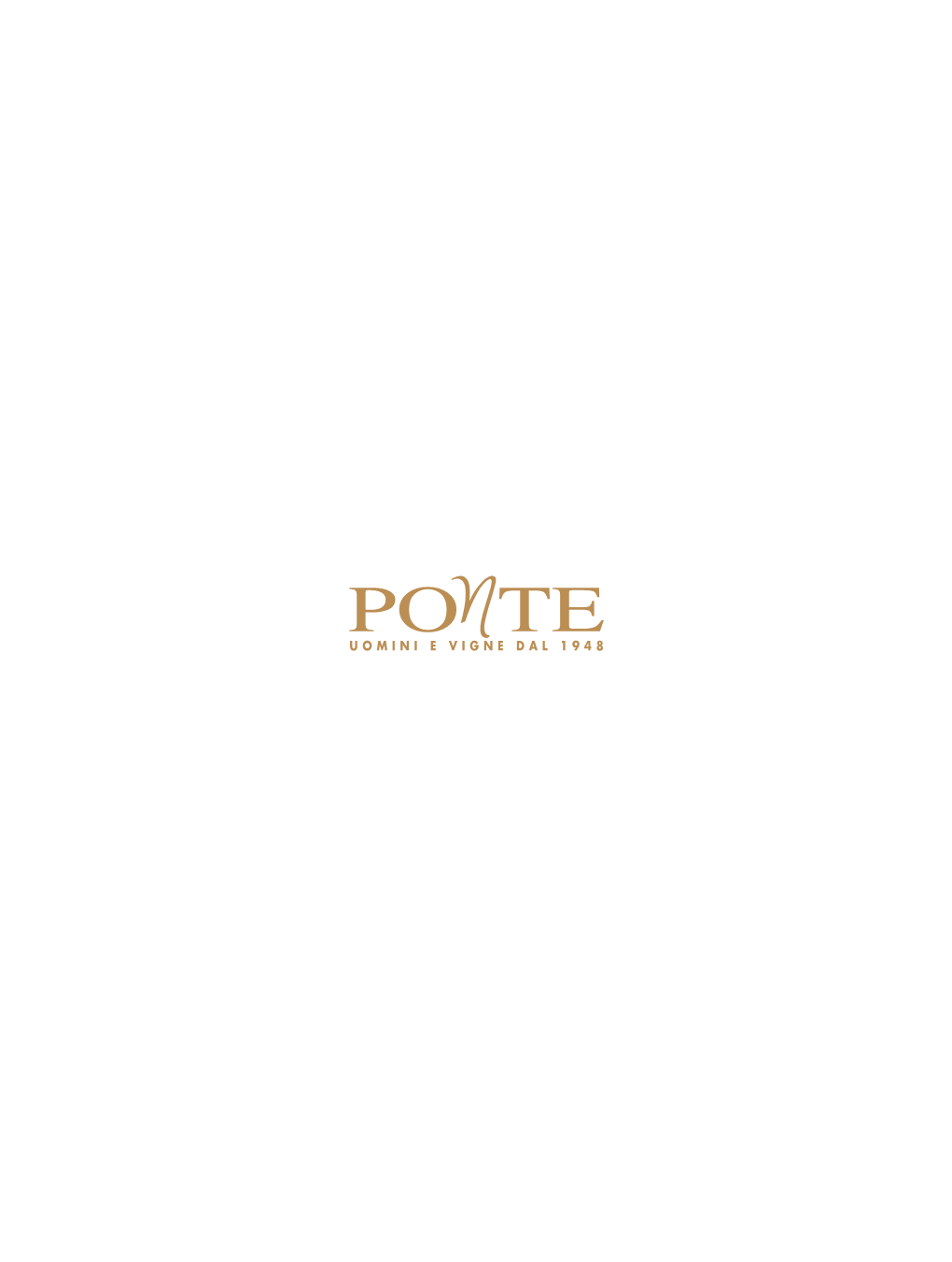 PONTE Company Profile 2020