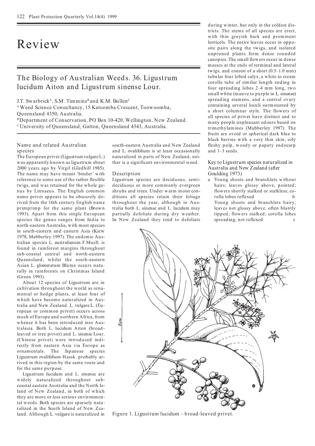 Review Site Pairs Along the Twigs, and Isolated Unpruned Plants Form Dense Rounded Canopies