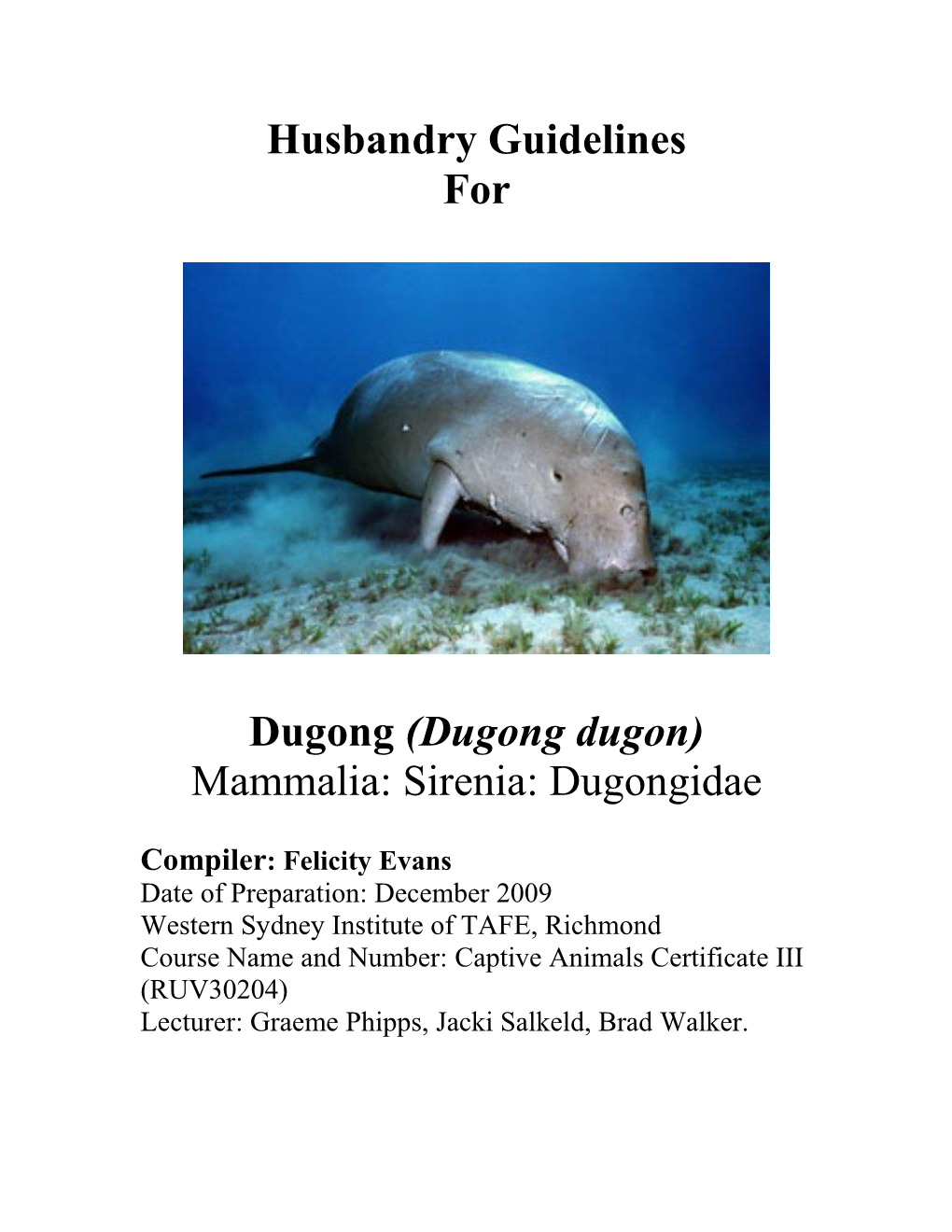 Dugong Dugon) Mammalia: Sirenia: Dugongidae