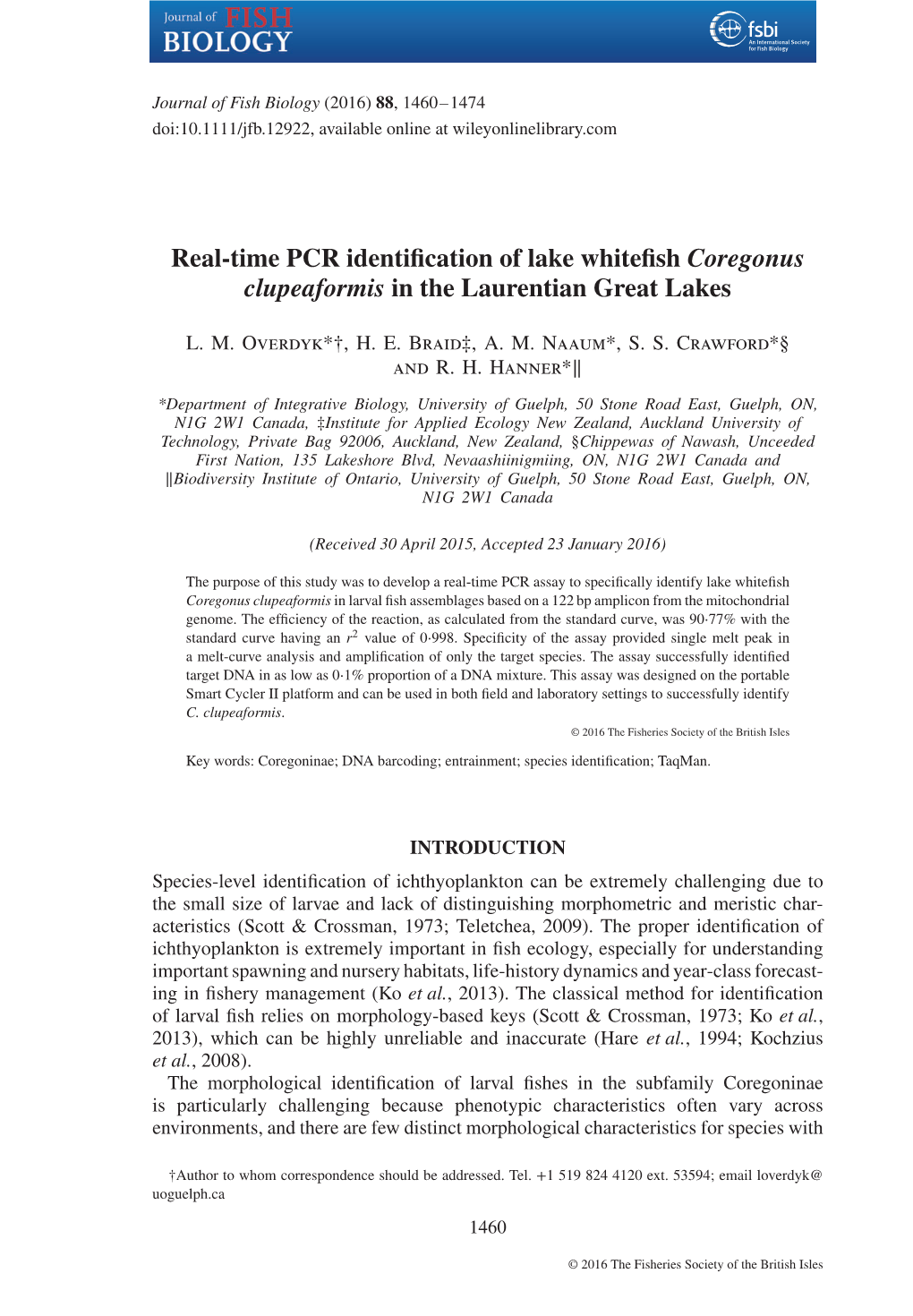 Real-Time PCR Identification of Lake Whitefish Coregonus Clupeaformis in the Laurentian Great Lakes