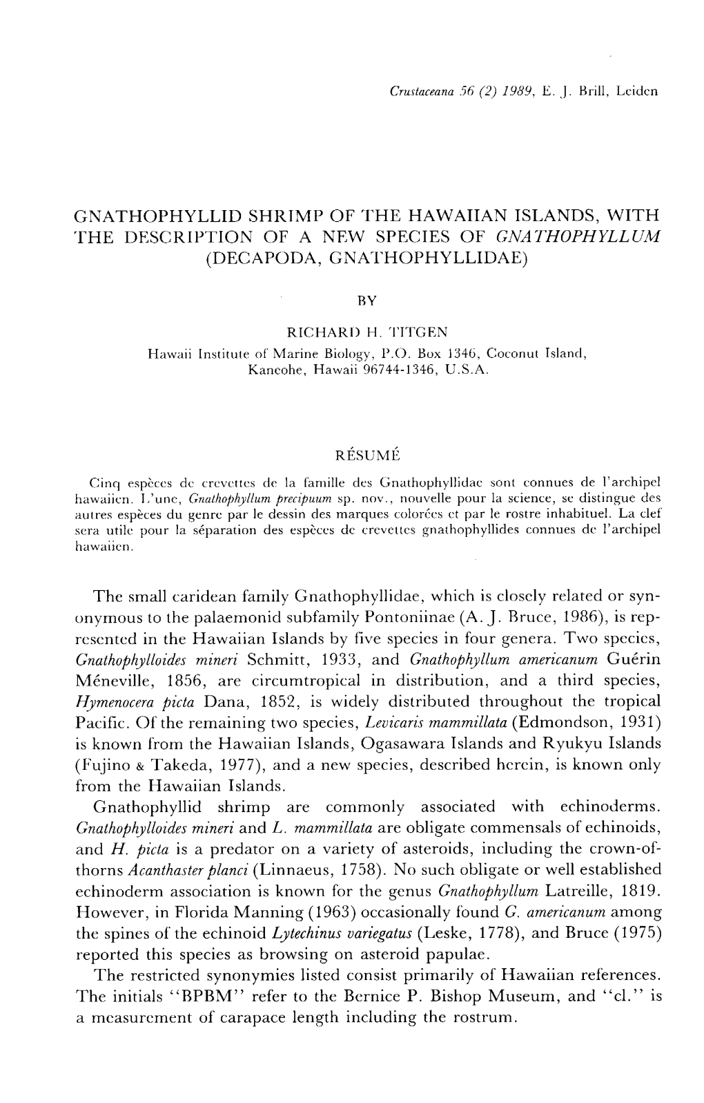 Gnathophyllid Shrimp of the Hawaiian Islands, with the Description of a New Species of Gnathophyllum (Decapoda, Gnathophyllidae)