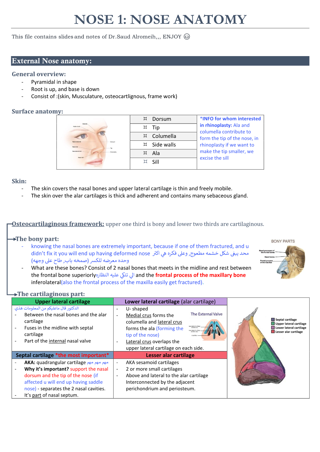 Nose Anatomy