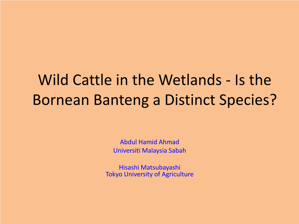 Is Bornean Banteng a New Species