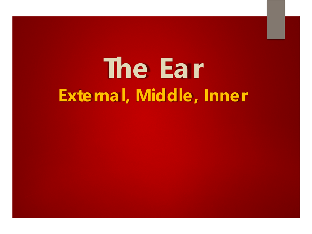 Ear – 3 Anatomic Parts