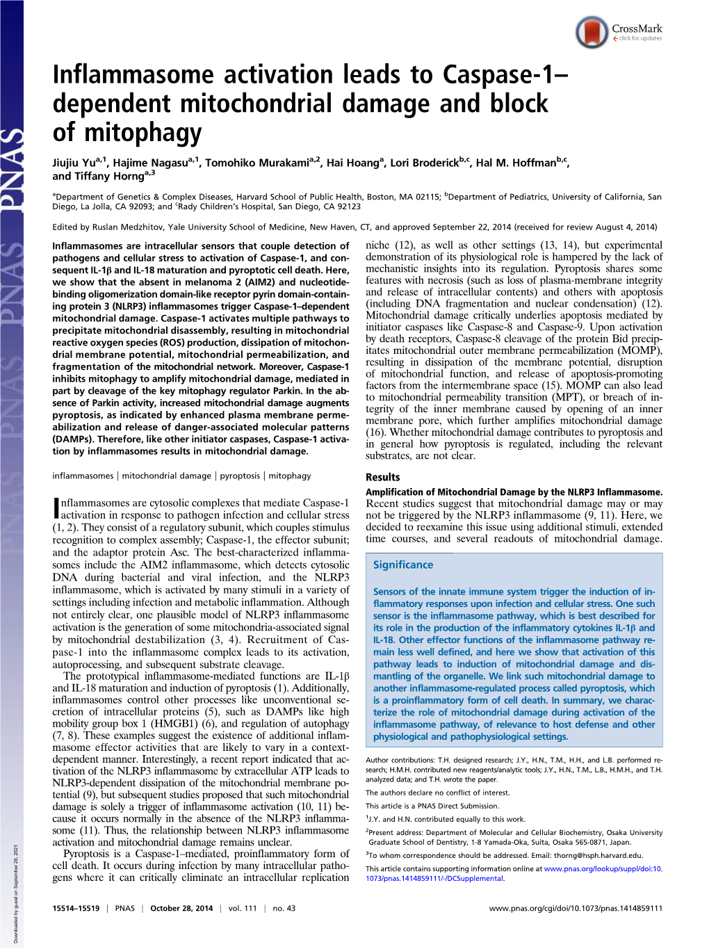 Inflammasome Activation Leads to Caspase-1– Dependent Mitochondrial Damage and Block of Mitophagy