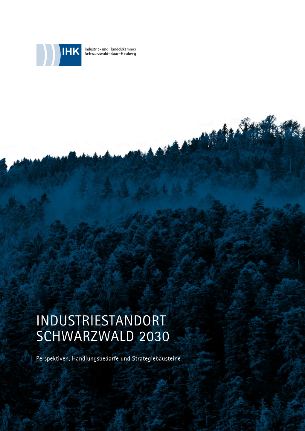 Industriestandort Schwarzwald 2030
