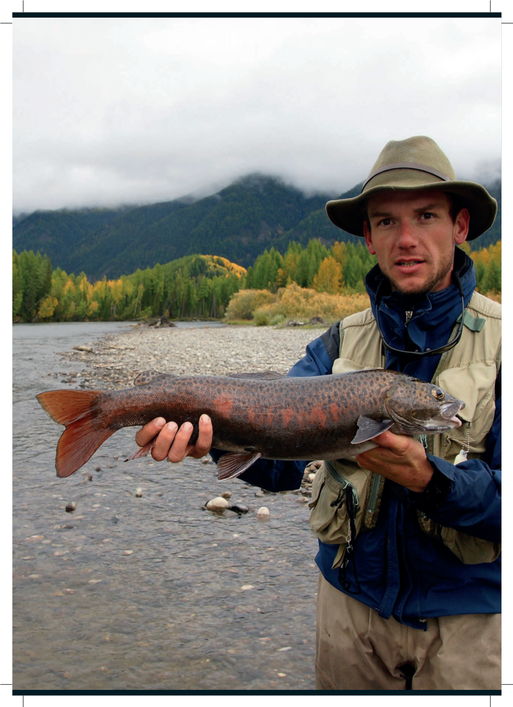 Trout's Siberian Siblings