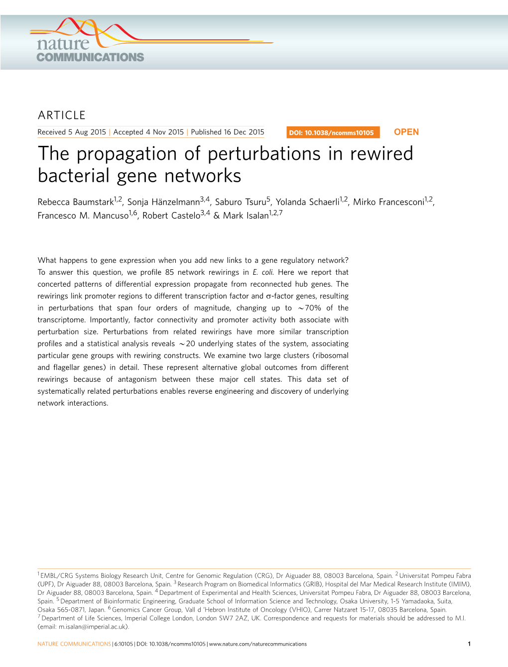 The Propagation of Perturbations in Rewired Bacterial Gene Networks