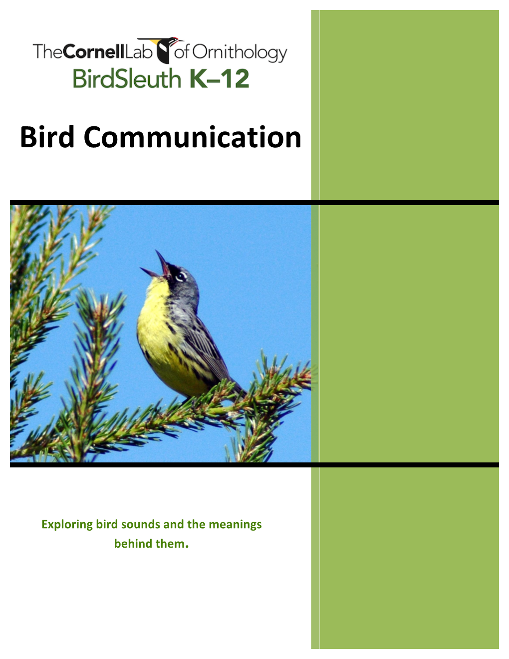 Bird Communication