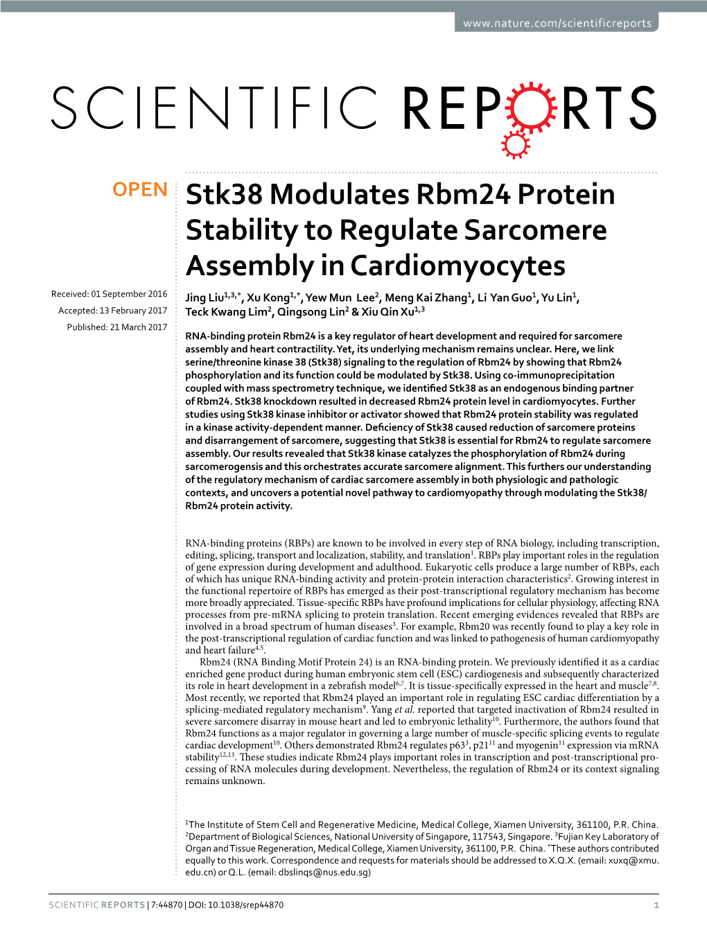 Stk38 Modulates Rbm24 Protein Stability to Regulate Sarcomere Assembly in Cardiomyocytes