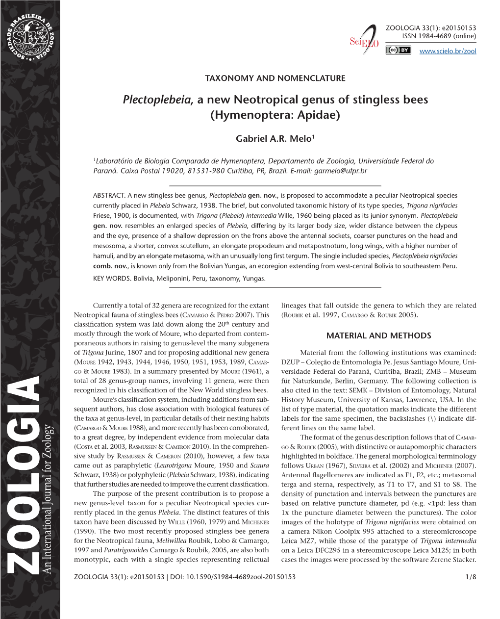 Plectoplebeia, a New Neotropical Genus of Stingless Bees (Hymenoptera: Apidae)