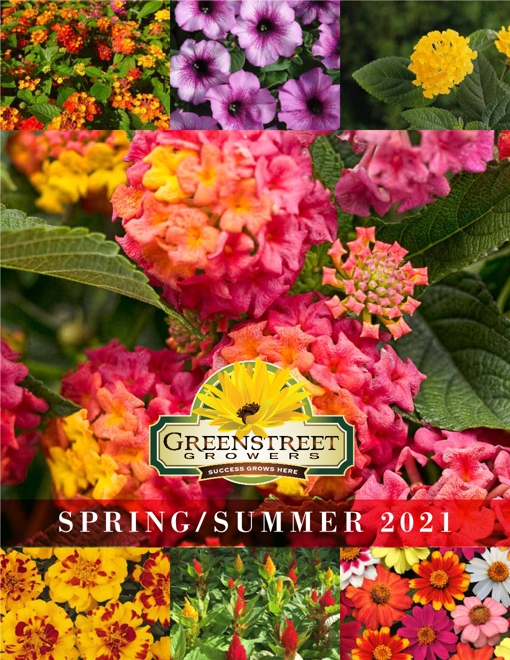 Spring/Summer 2021 PREMIUM ANNUALS T II FARM Our We Canimprove