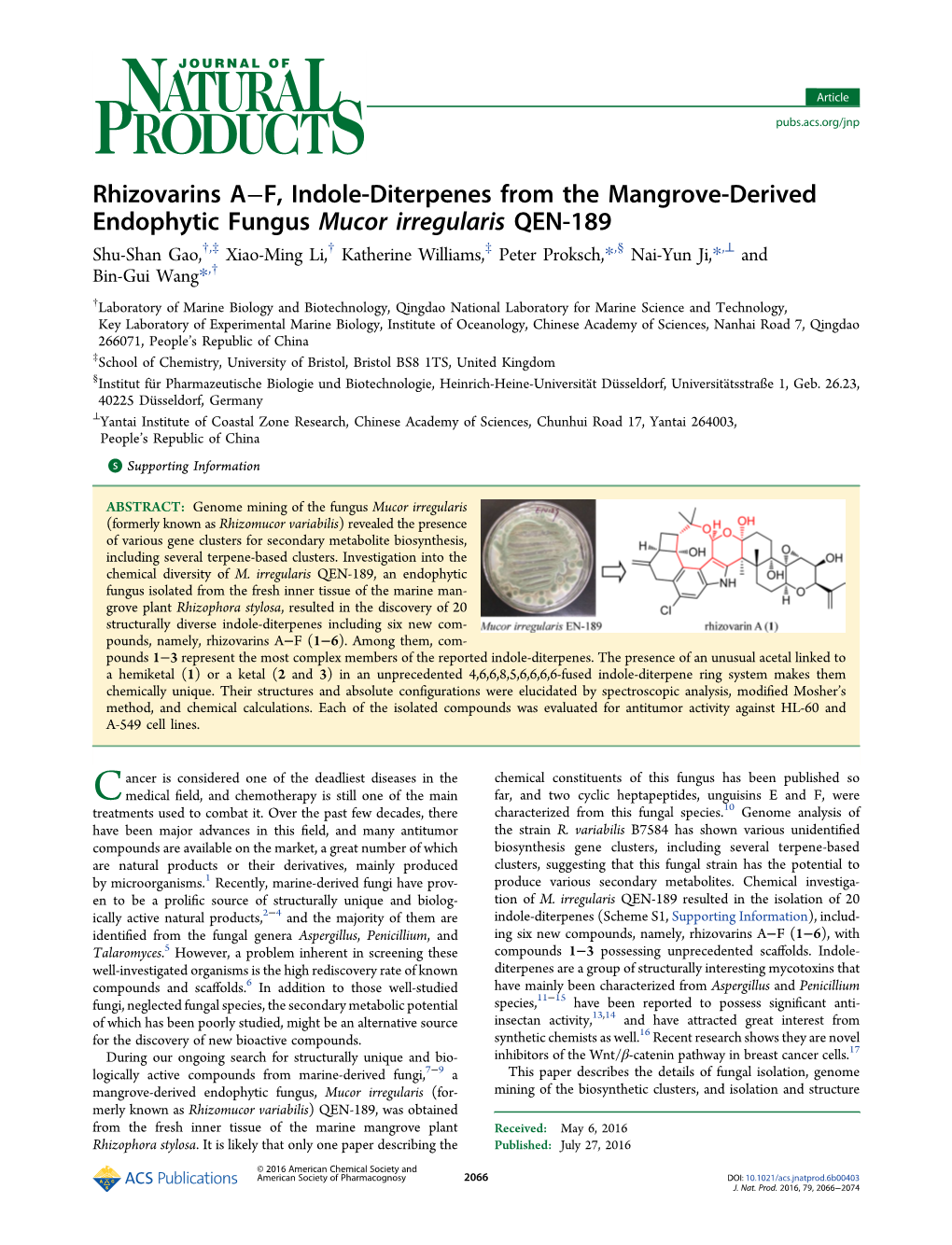 Rhizovarins A−F, Indole-Diterpenes from the Mangrove-Derived