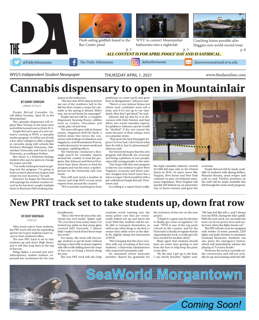 Cannabis Dispensary to Open in Mountainlair