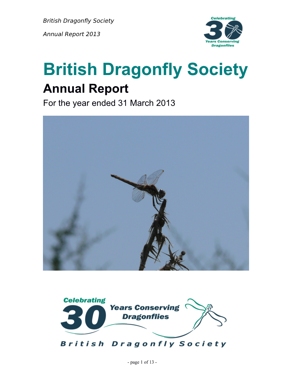 BDS Annual Report 2013