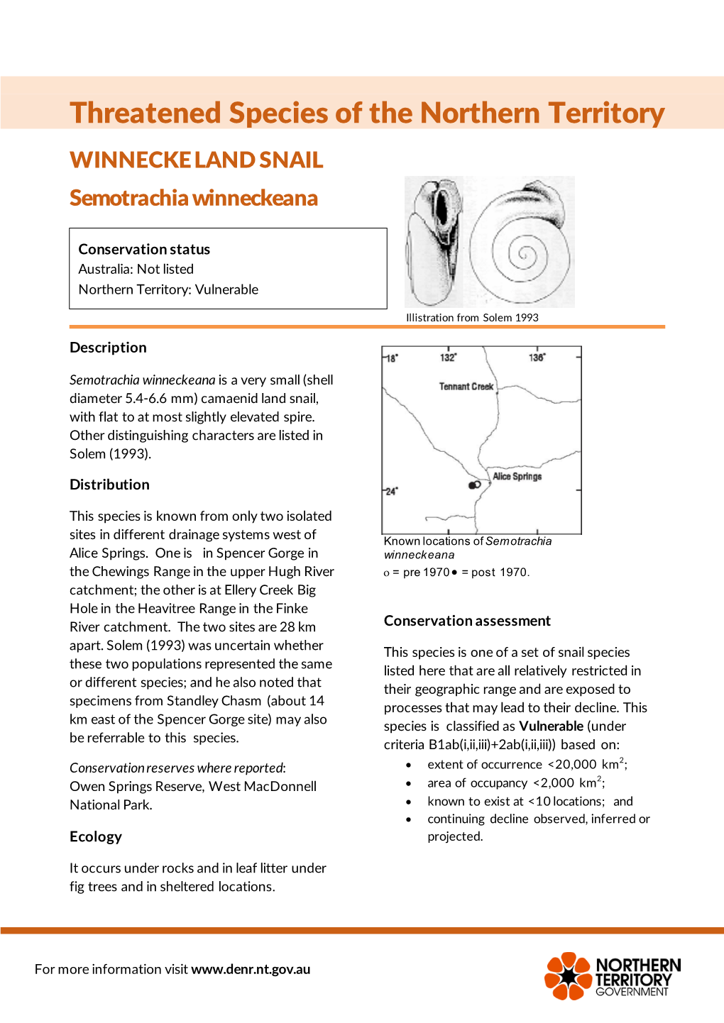 WINNECKE LAND SNAIL Semotrachia Winneckeana