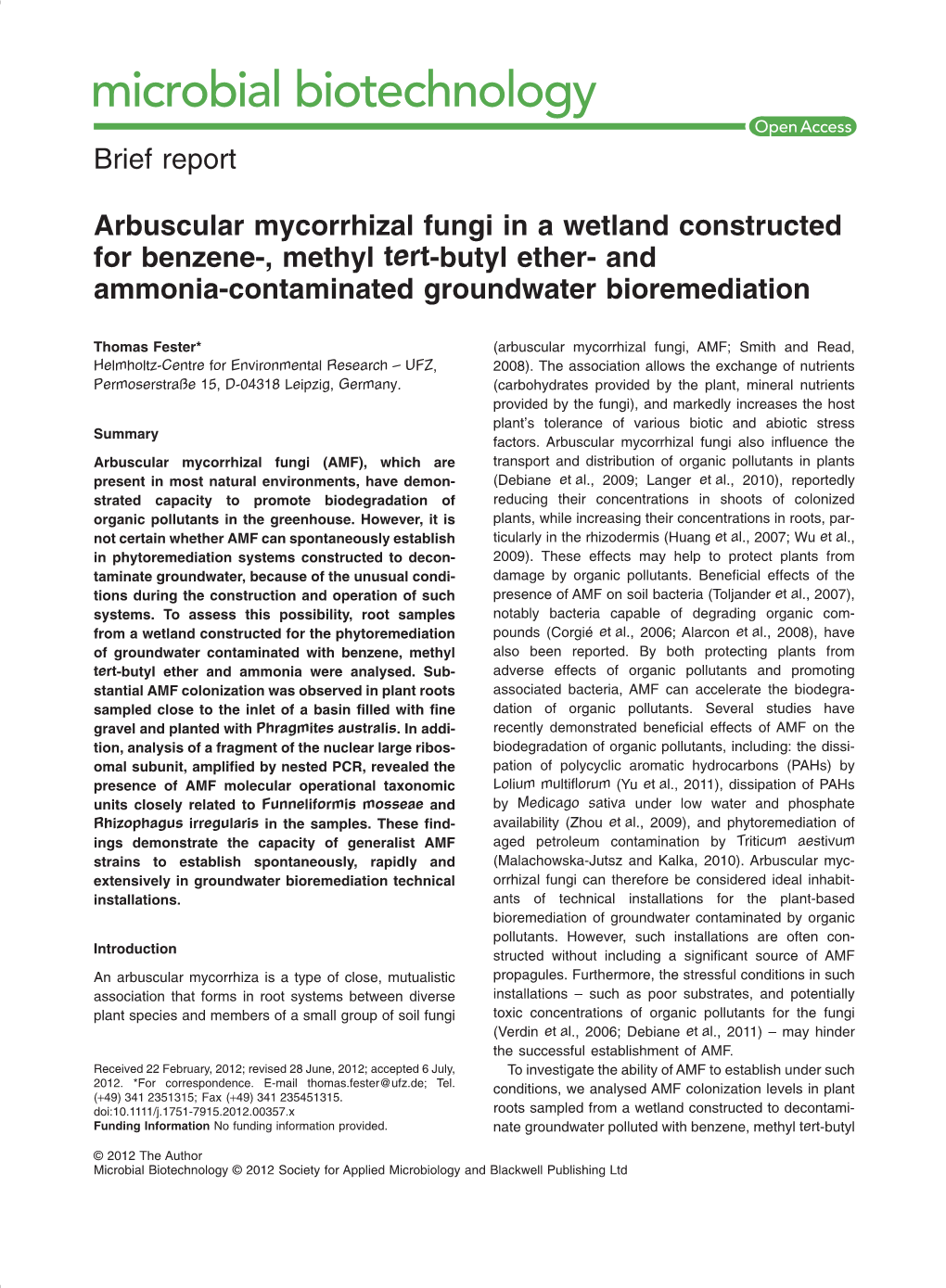 Arbuscular Mycorrhizal Fungi in a Wetland Constructed for Benzene-, Methyl Tert-Butyl Ether- and Ammonia-Contaminated Groundwater Bioremediation