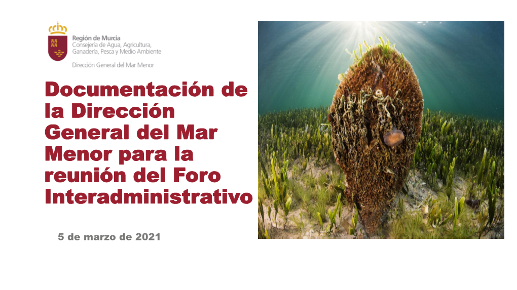 Documentación De La Dirección General Del Mar Menor Para La Reunión Del Foro Interadministrativo